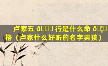 卢家五 🐒 行是什么命 🦋 格（卢家什么好听的名字男孩）